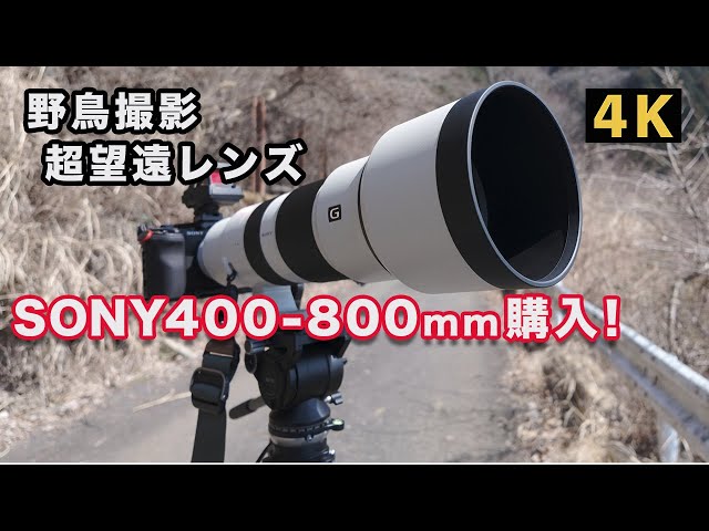 SONY FE 400-800mm F6.3-8 G OSS【野鳥撮影 野鳥動画】「ZV-E1」（本体