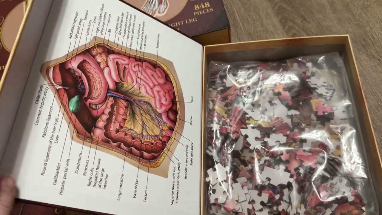 Dr. Livingston's Human Anatomy Puzzle ~ A Timberdoodle Review