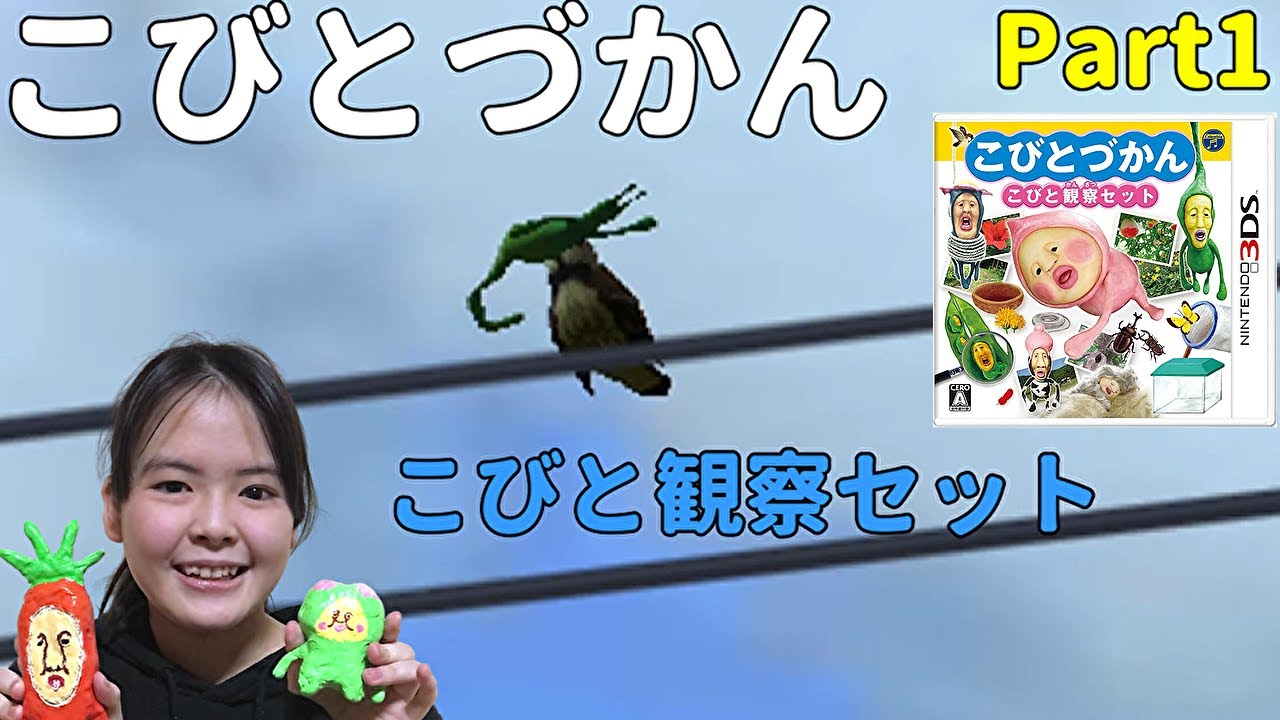 こびと観察セット01 初めてのプレイ - YouTube