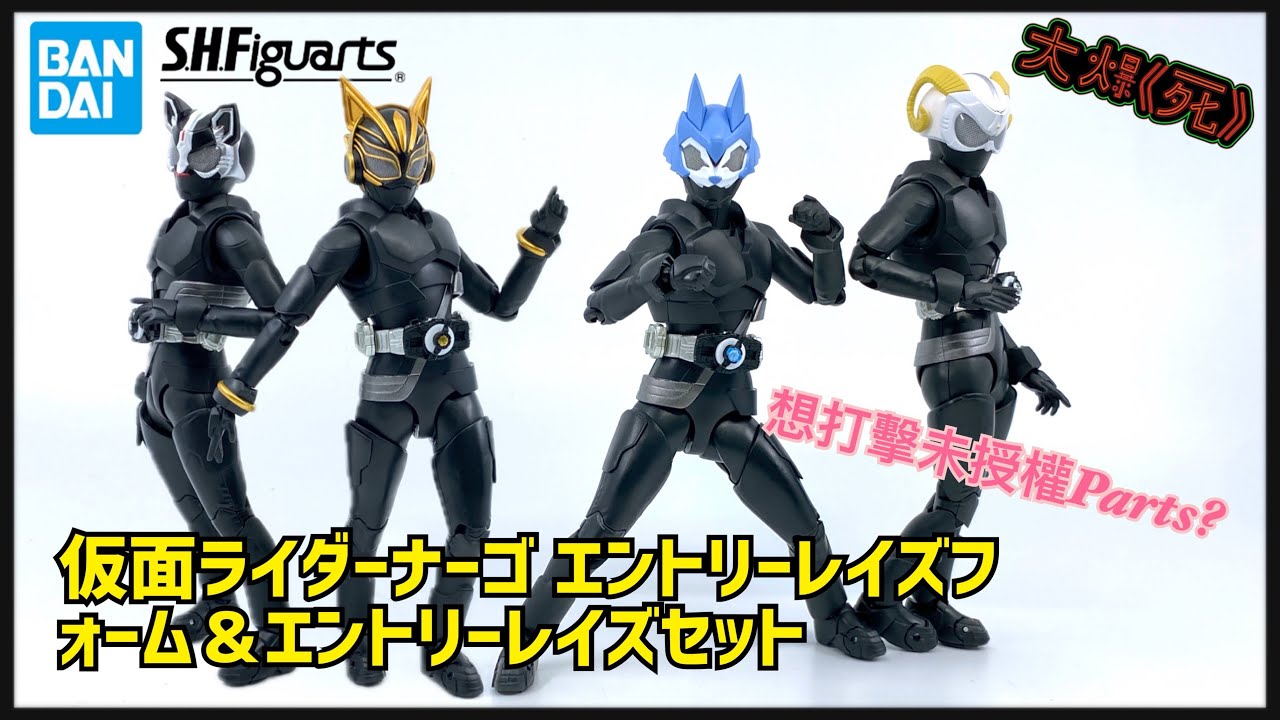 重女!Bandai S.H.Figuarts仮面ライダーナーゴ エントリーレイズ