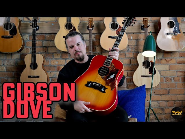 1973 Gibson Dove | Studio 1 Guitars | Nick Brightwell Presents
