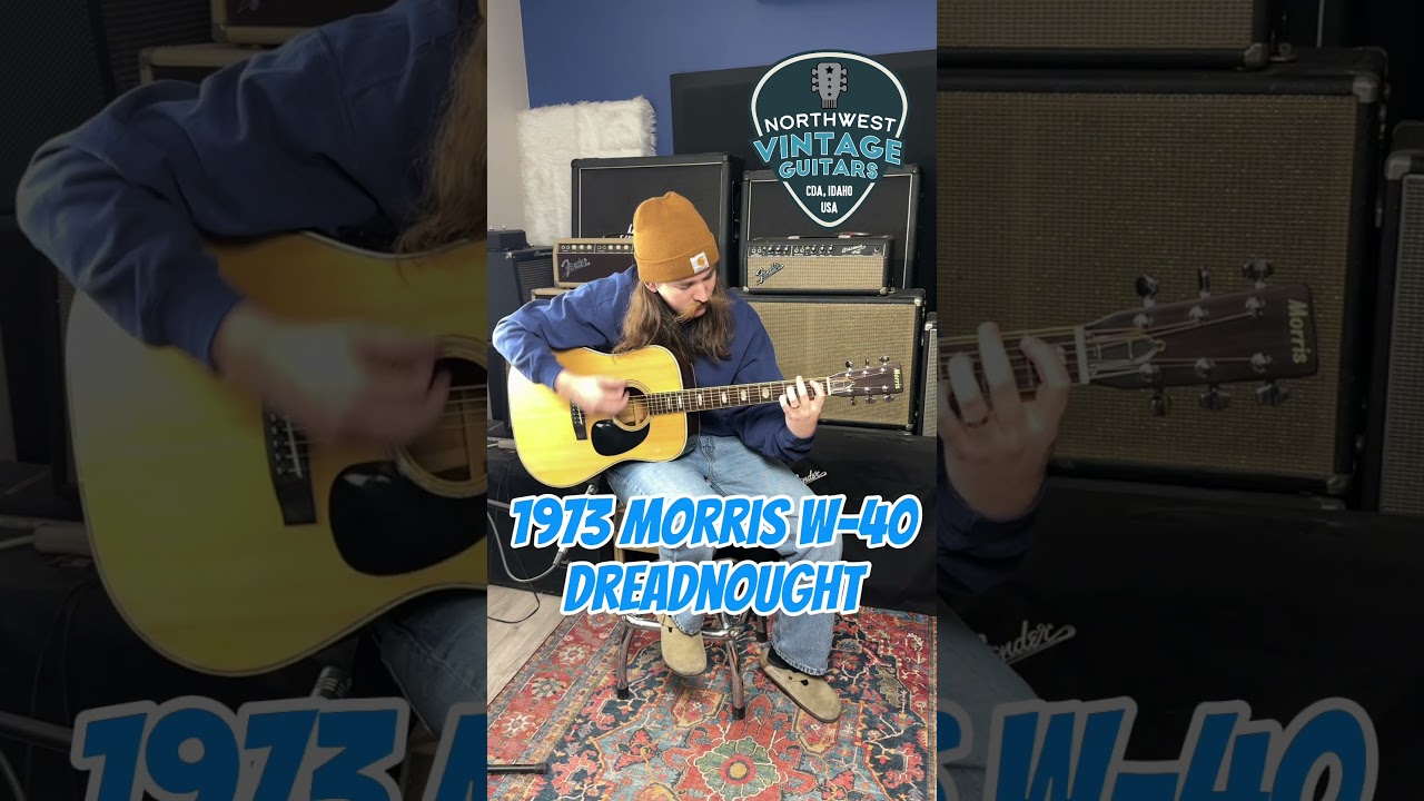 1973 Morris W-40 Dreadnought #guitar #fyp #vintagejapanguitars