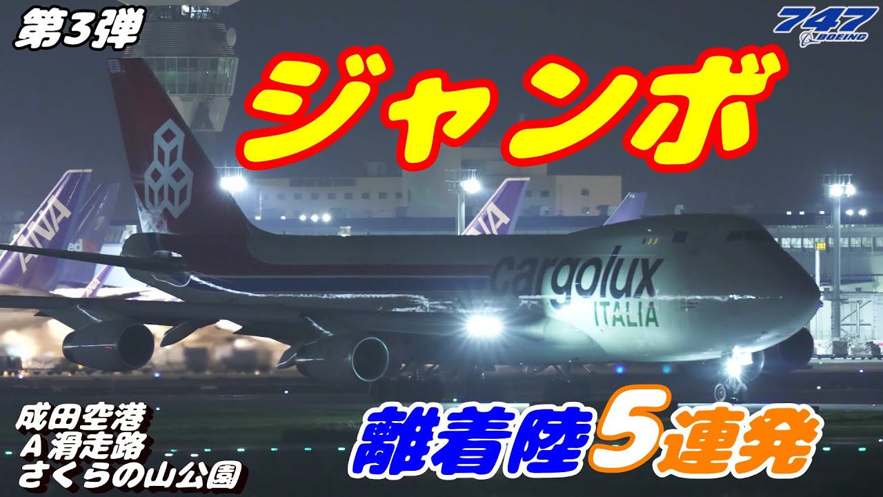 B747第三弾 / 4K】成田空港 さくらの山公園 夜のAランに離着陸する