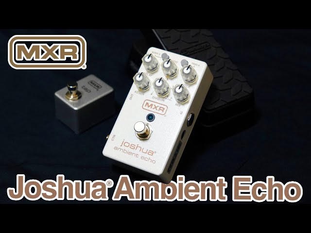 MXR M309 Joshua® Ambient Echo - performance by 高田歩 - YouTube