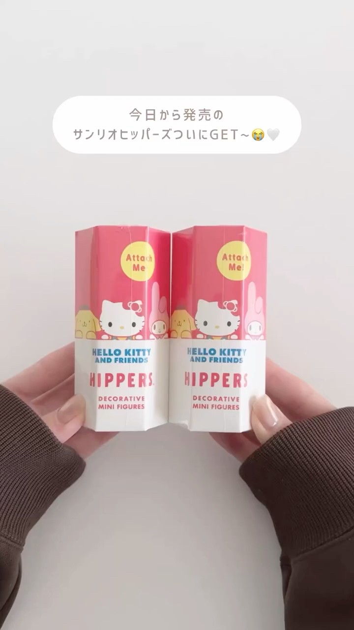 Did you all get your hands on the Sanrio Hippers that went on sale