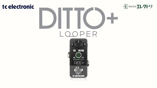 tc electronic Ditto+ Looper ~製品紹介~ - YouTube