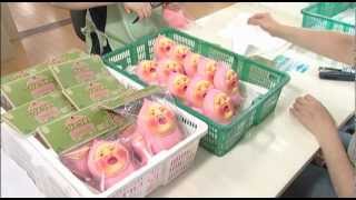 こびとづかん 超リアルソフビ クサマダラオオコビト | 面白半分商店