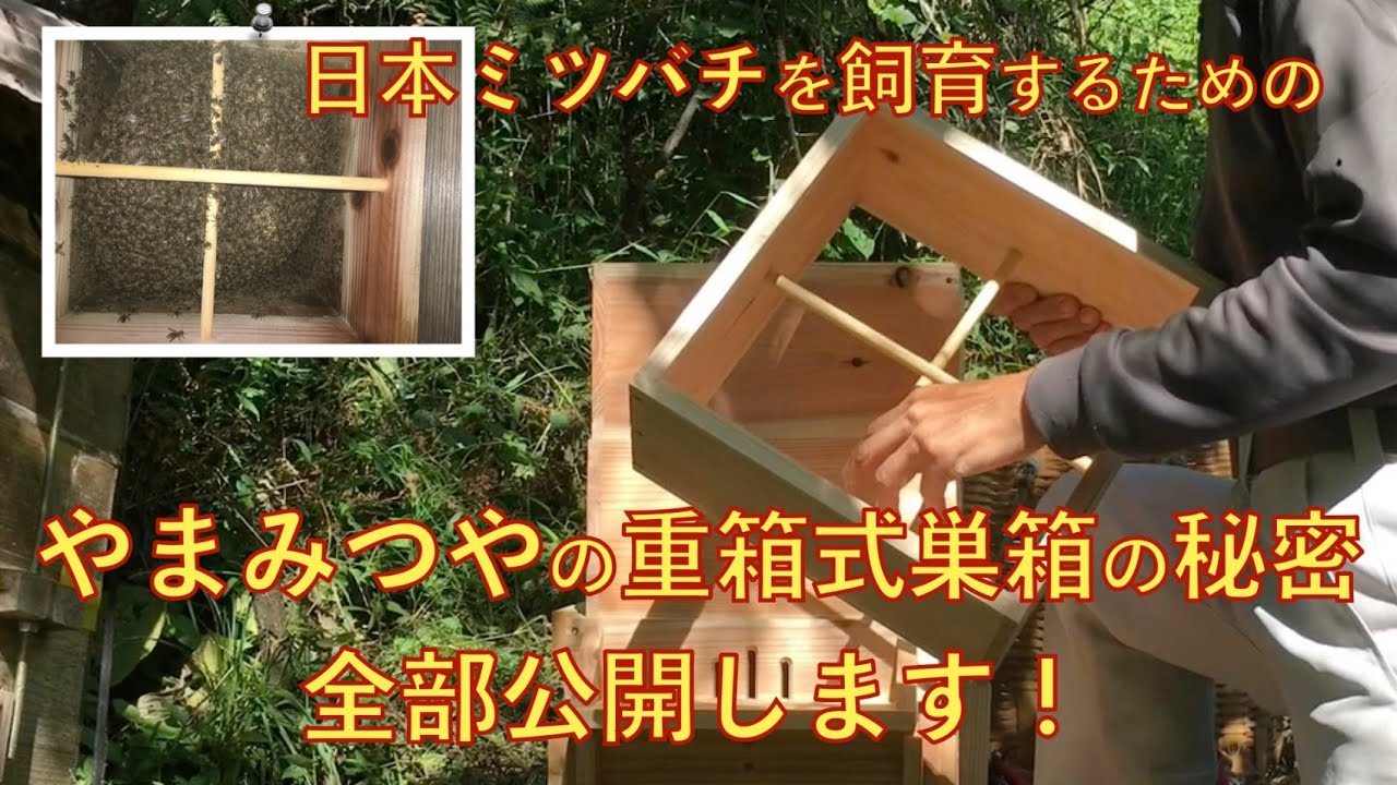 ニホンミツバチの重箱式巣箱製造販売 | やまみつや