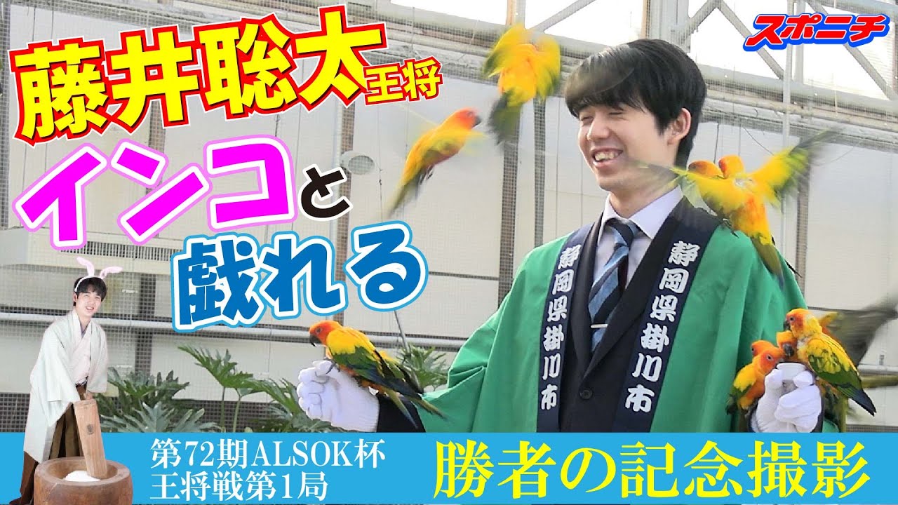 王将戦名物【勝者の記念撮影】舞台裏。藤井聡太王将、インコと戯れる