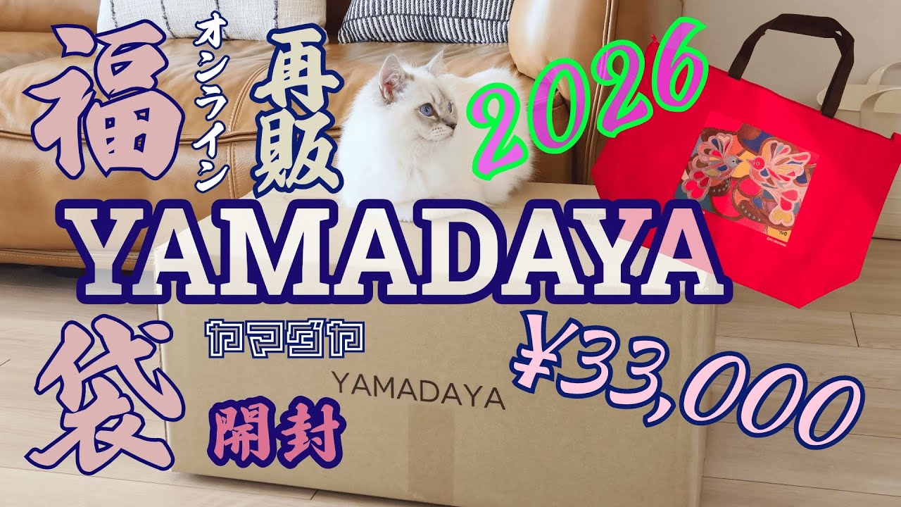 2026 YAMADAYA Lucky Bag] ¥33,000 Online (Resale) Open and Wear