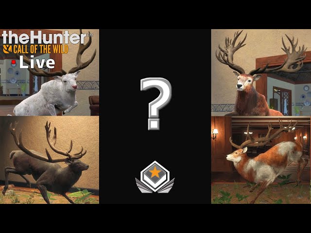 最終回】アカシカのグレートワンを探す！_#163【theHunter：生配信