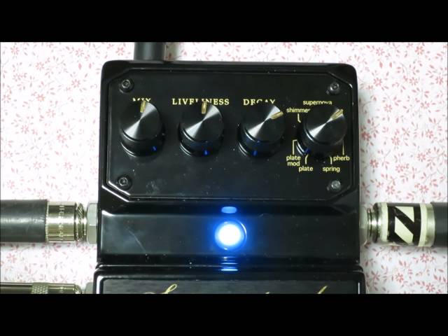 DIGITECH デジテック Supernatural Ambient Verb+アコギ - YouTube