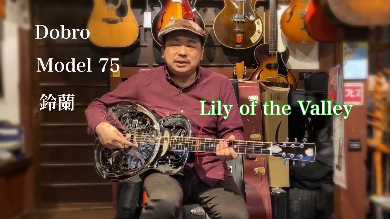 可憐な美しき鈴蘭。Dobro Model 75 