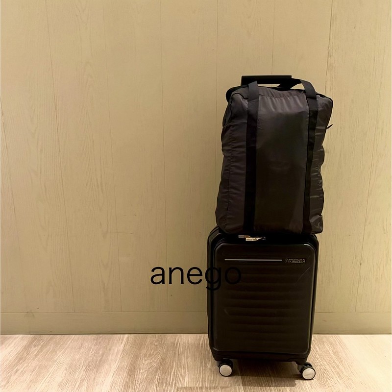 たためるボストンバッグがあると、帰りに荷物が増えたときにも便利