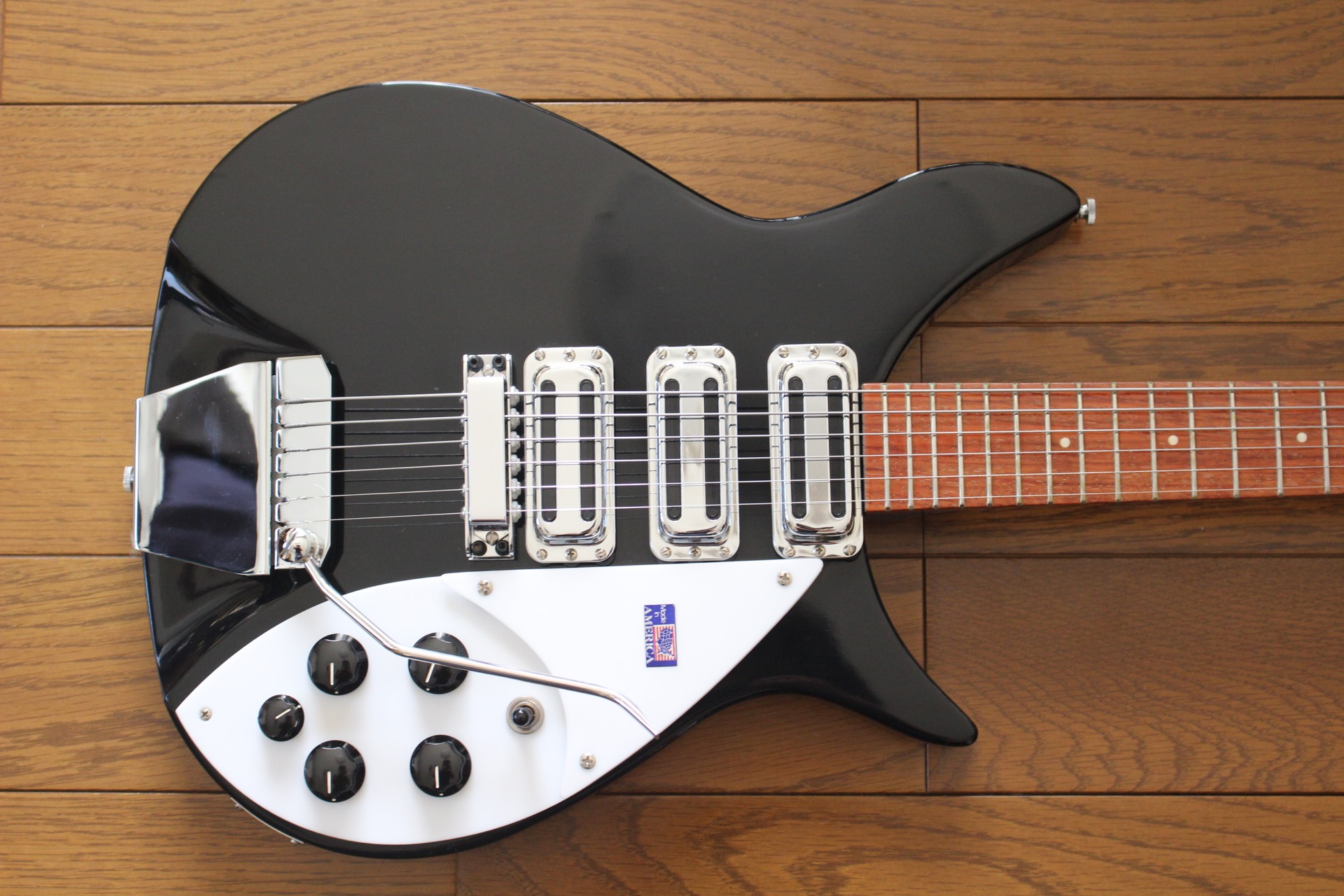 Rickenbacker 325 C64 – Goldmine1969.com