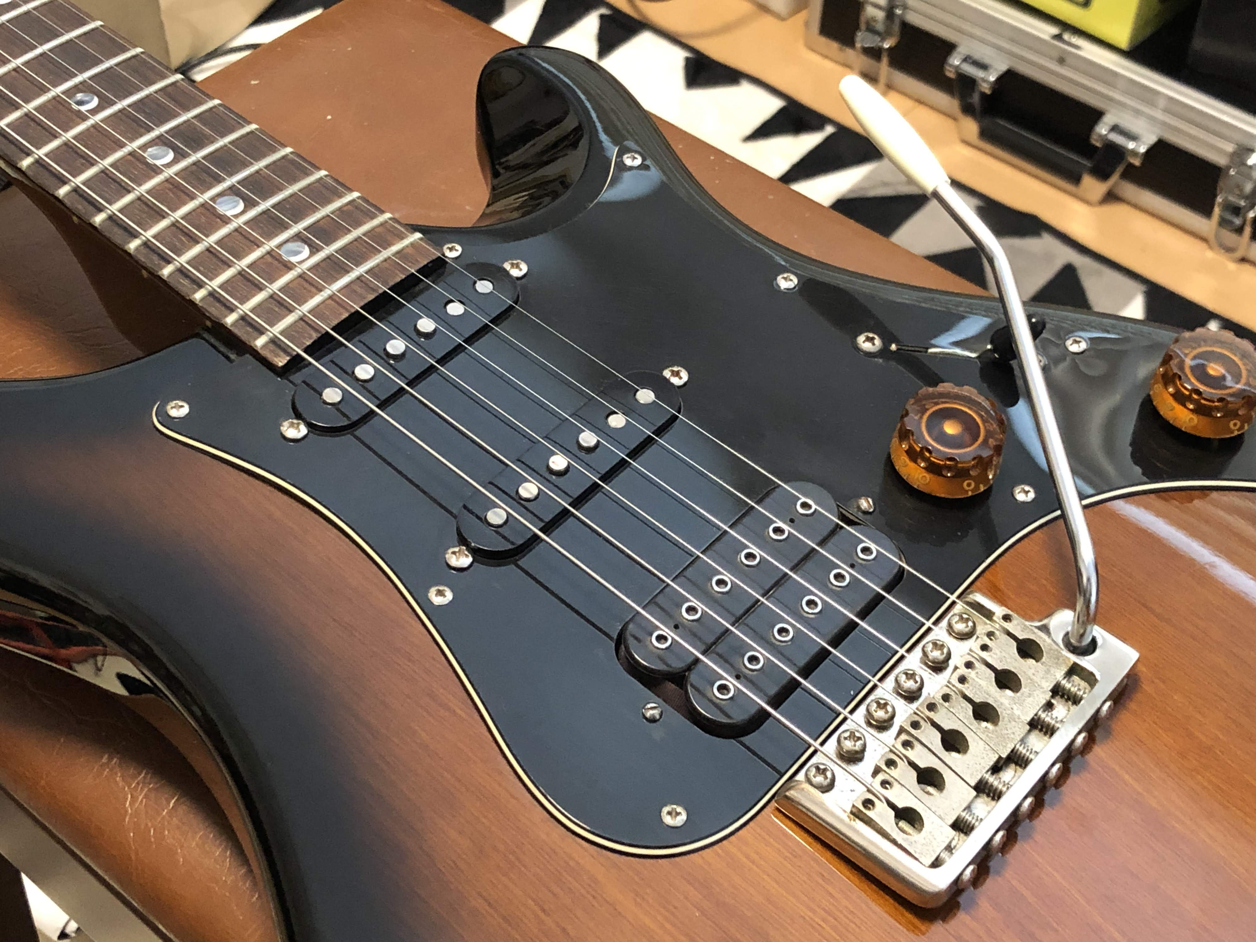 Paul Reed Smith PRS SE EG (SSH) 2004 ver.2 – scrapbook