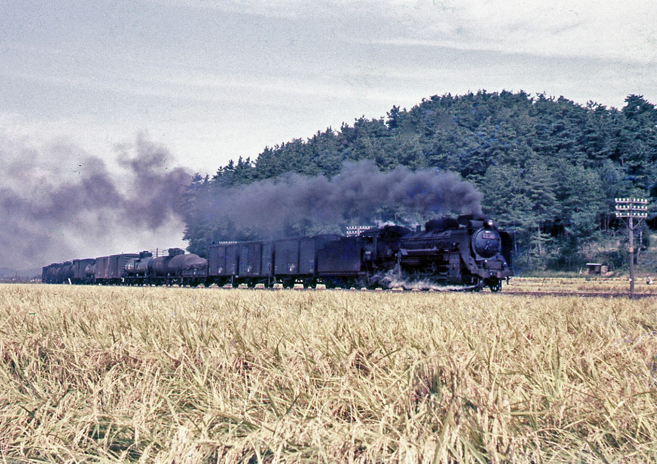天然色写真で語り継ぐ あの日あの時 【20】 秋編 | DRFC-OB デジタル青信号