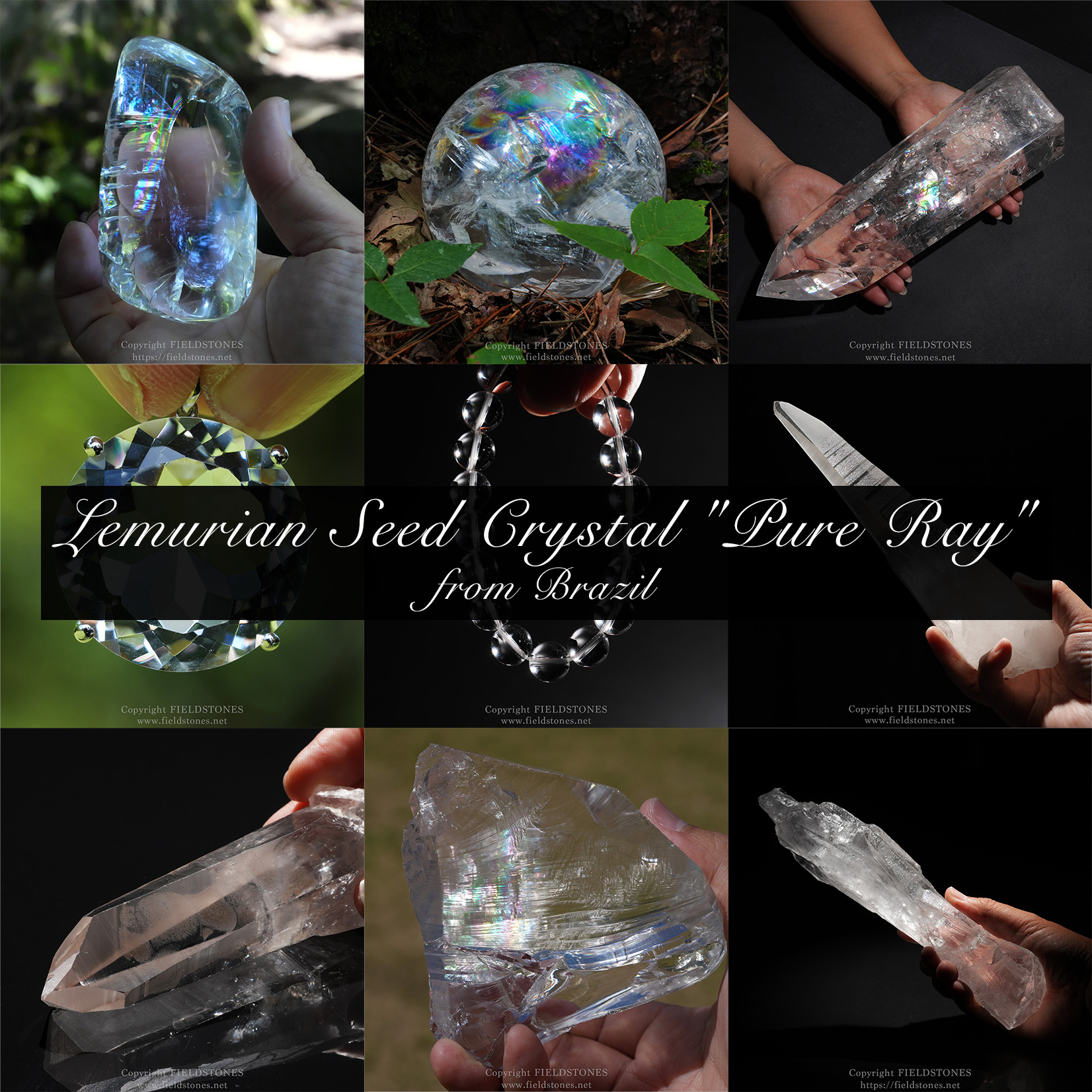 ピュアレイを選ぶ - FieldStones