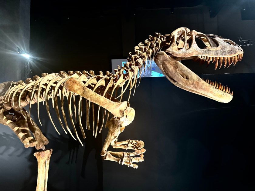 2024年8月9日 - 勝山観光ナビ