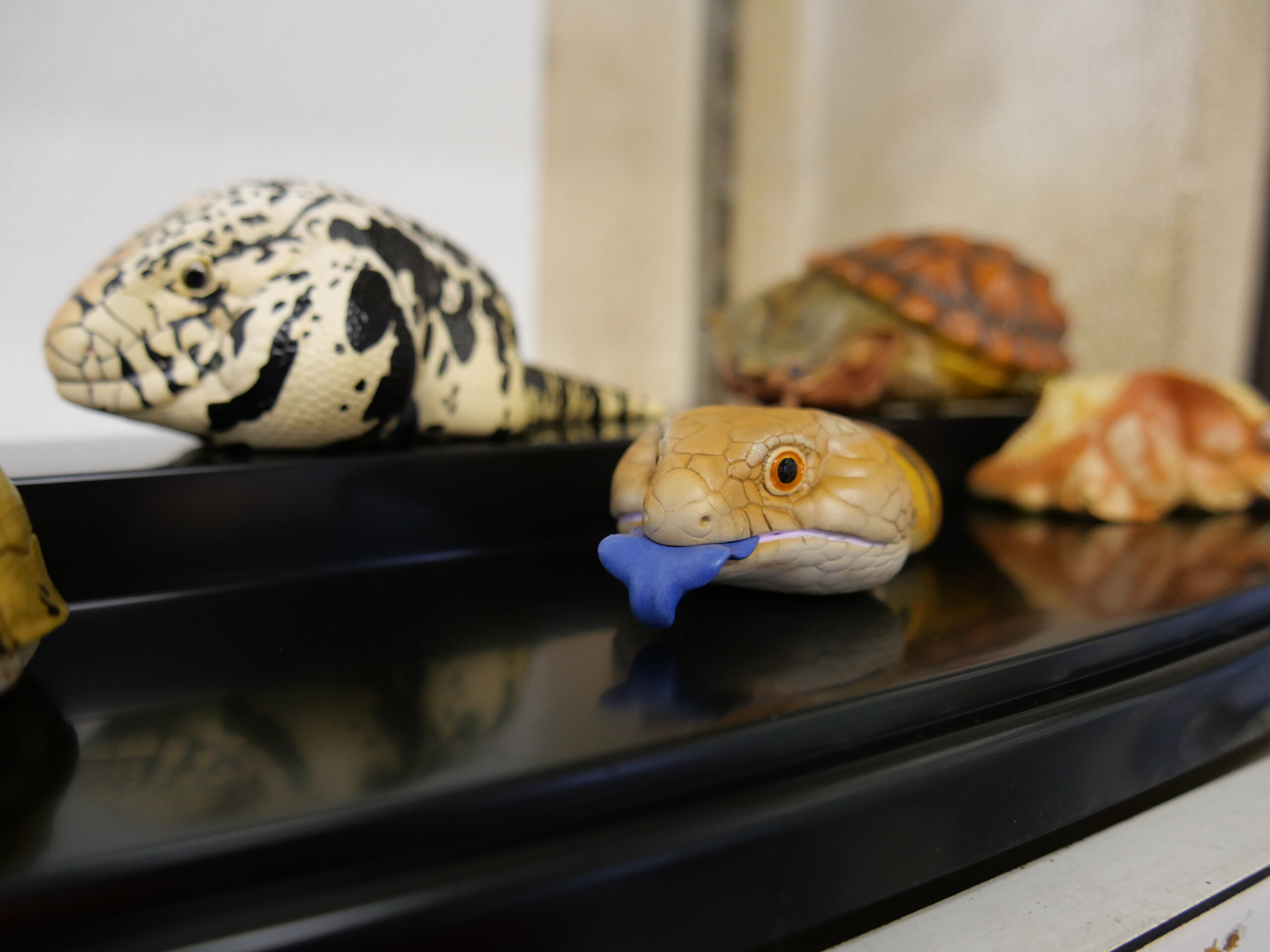 アニマルプラネット動物フィギュア | オーナーズフィッシュ