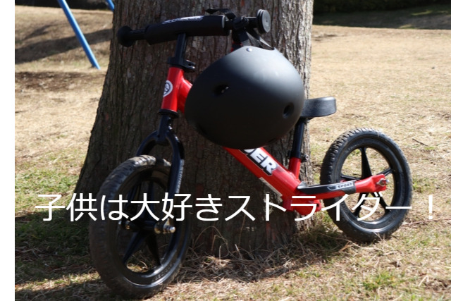 ストライダーと補助輪付き自転車、それとも三輪車？コスパとライフ