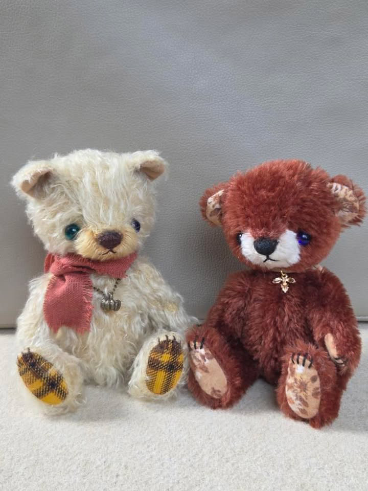 井上志津子【チェックベア 】 | 清里高原メイフェア