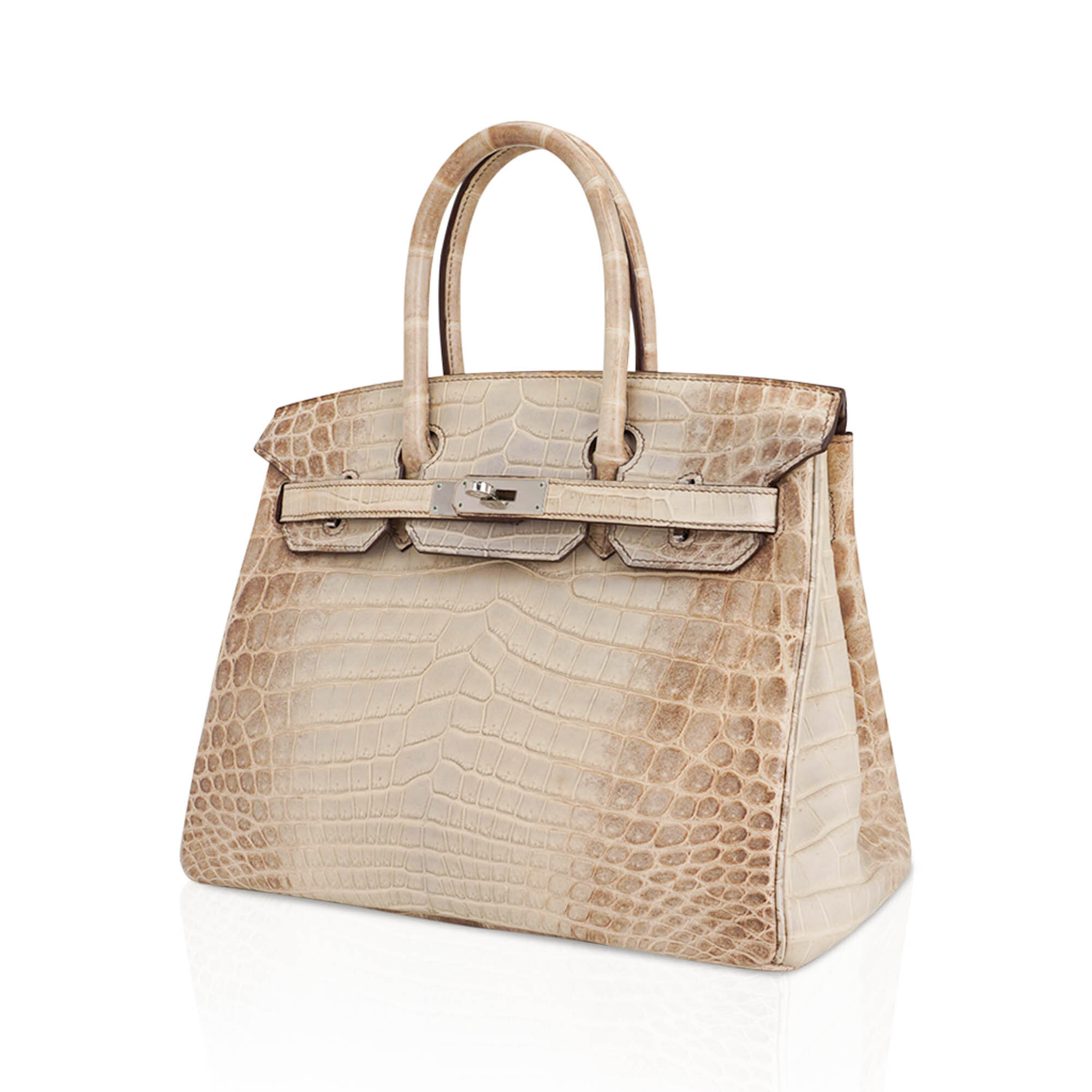 Hermès Birkin 30 Gris Cendre Himalaya Crocodile Bag | Mightychic