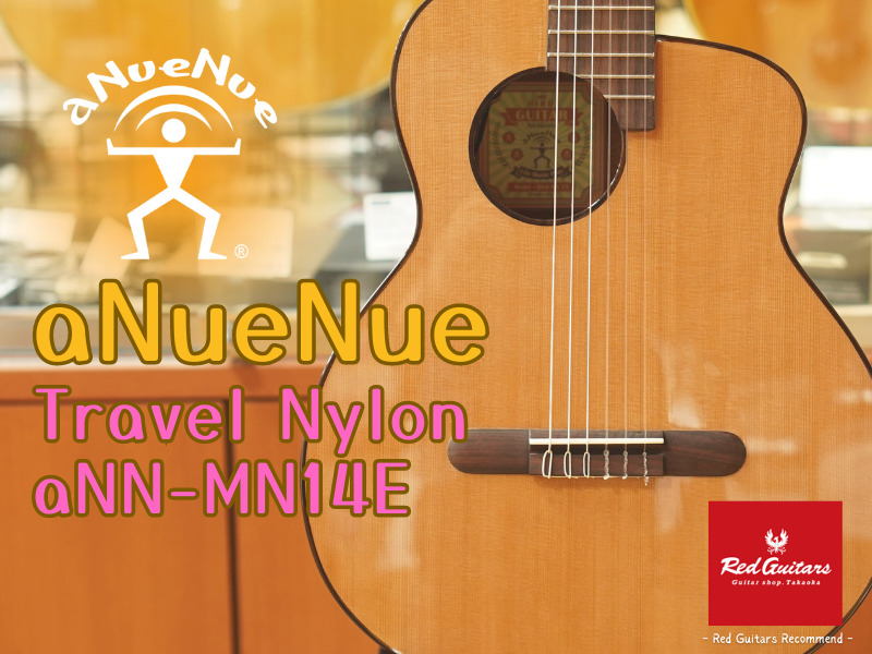 aNueNue-Acoustic-Guitar.jpg?