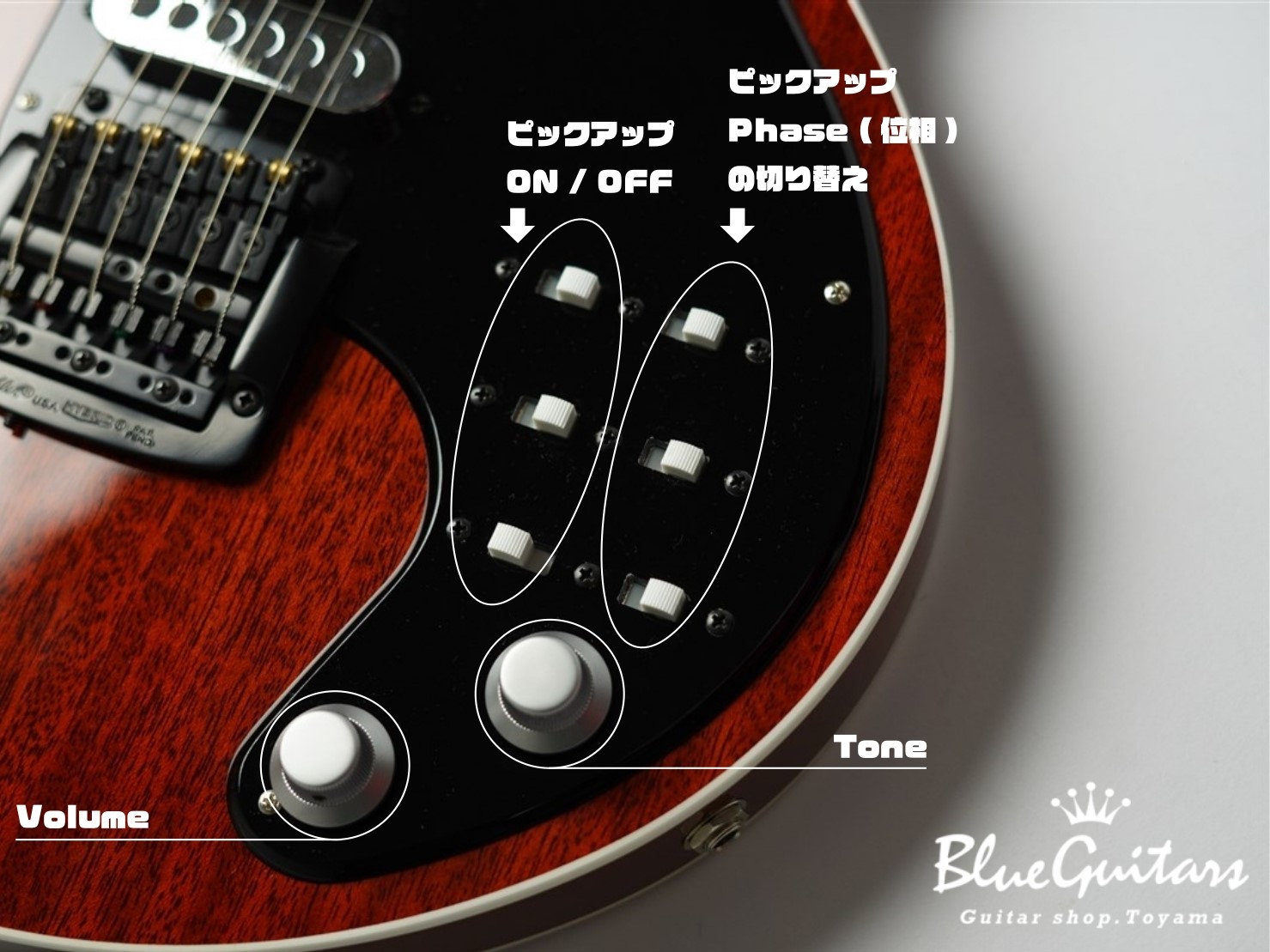 ブライアン・メイも認めた。世界中のファンを虜にするKz Guitar Works