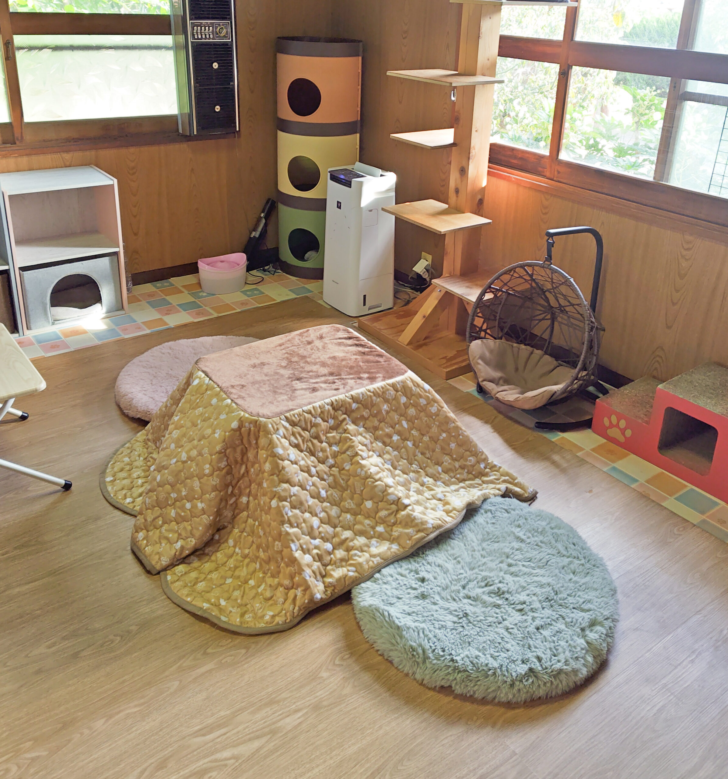 PSX_20241118_163000-1-scaled.