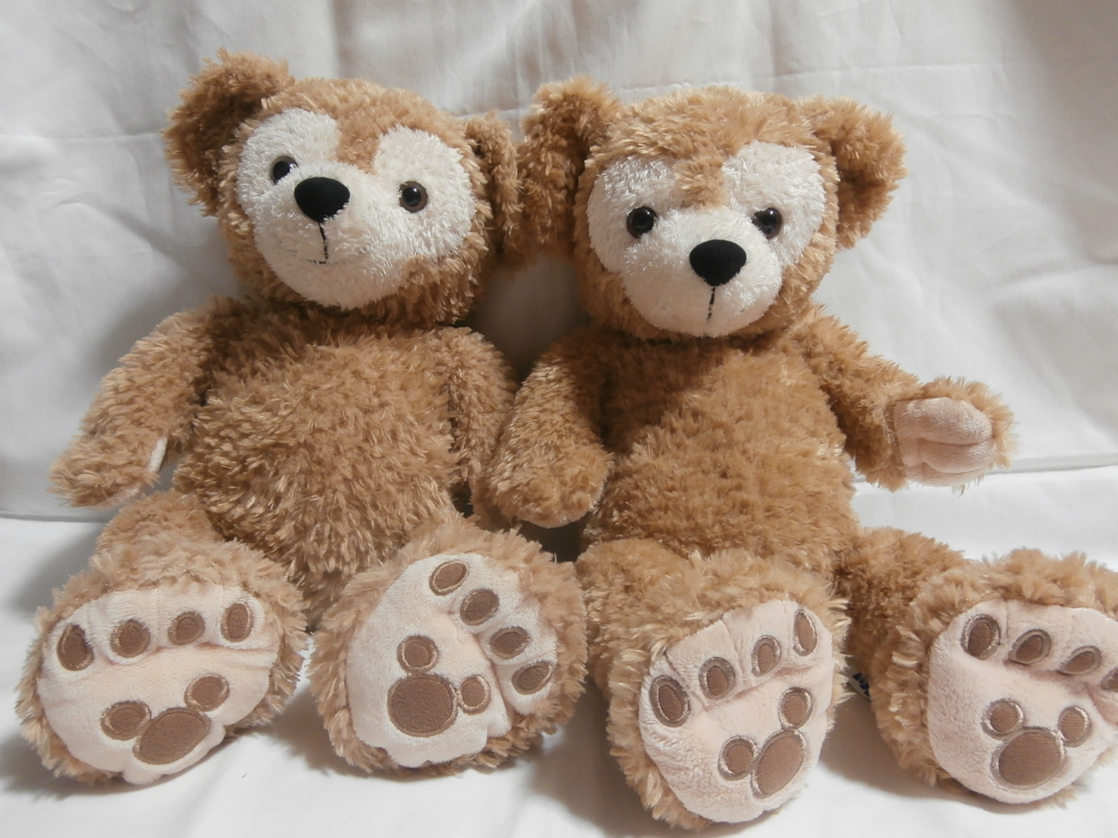 PC243545.jpg?fit=1200,900&ssl=