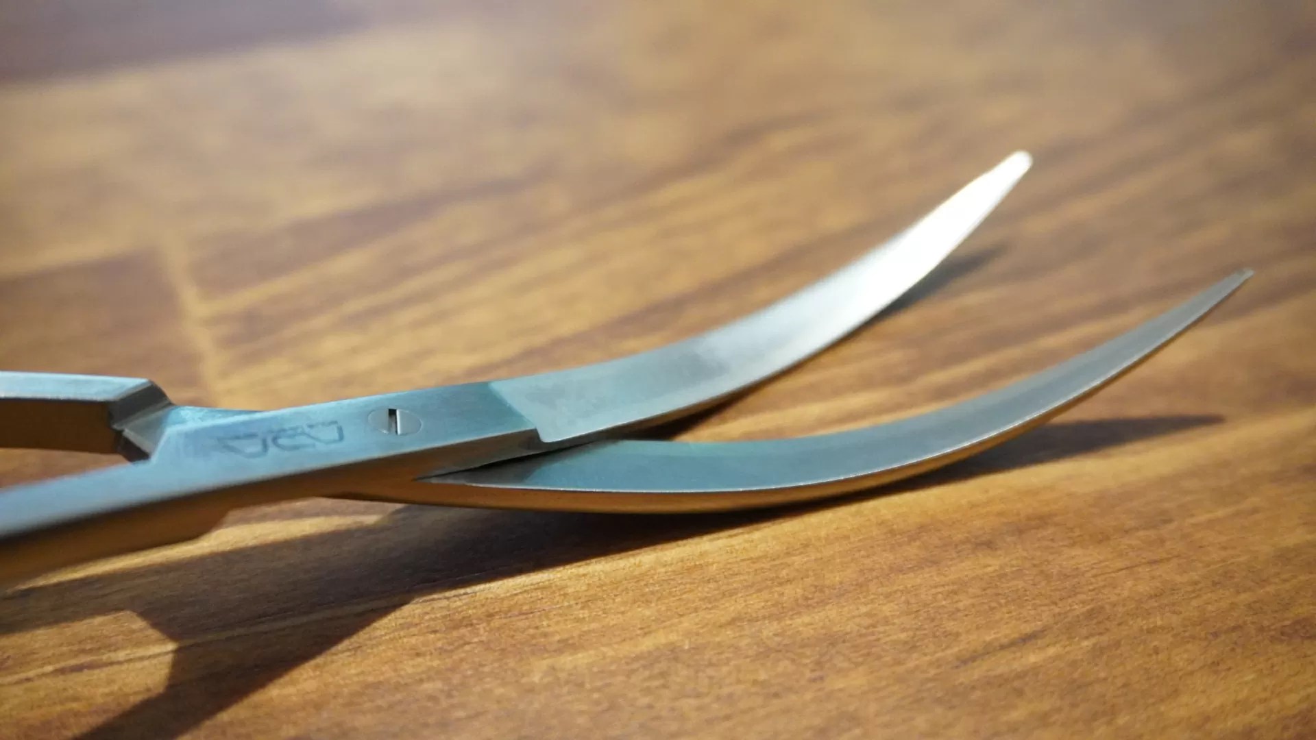 レビュー】ADA プロシザース ウェーブのススメ【アクアリウム