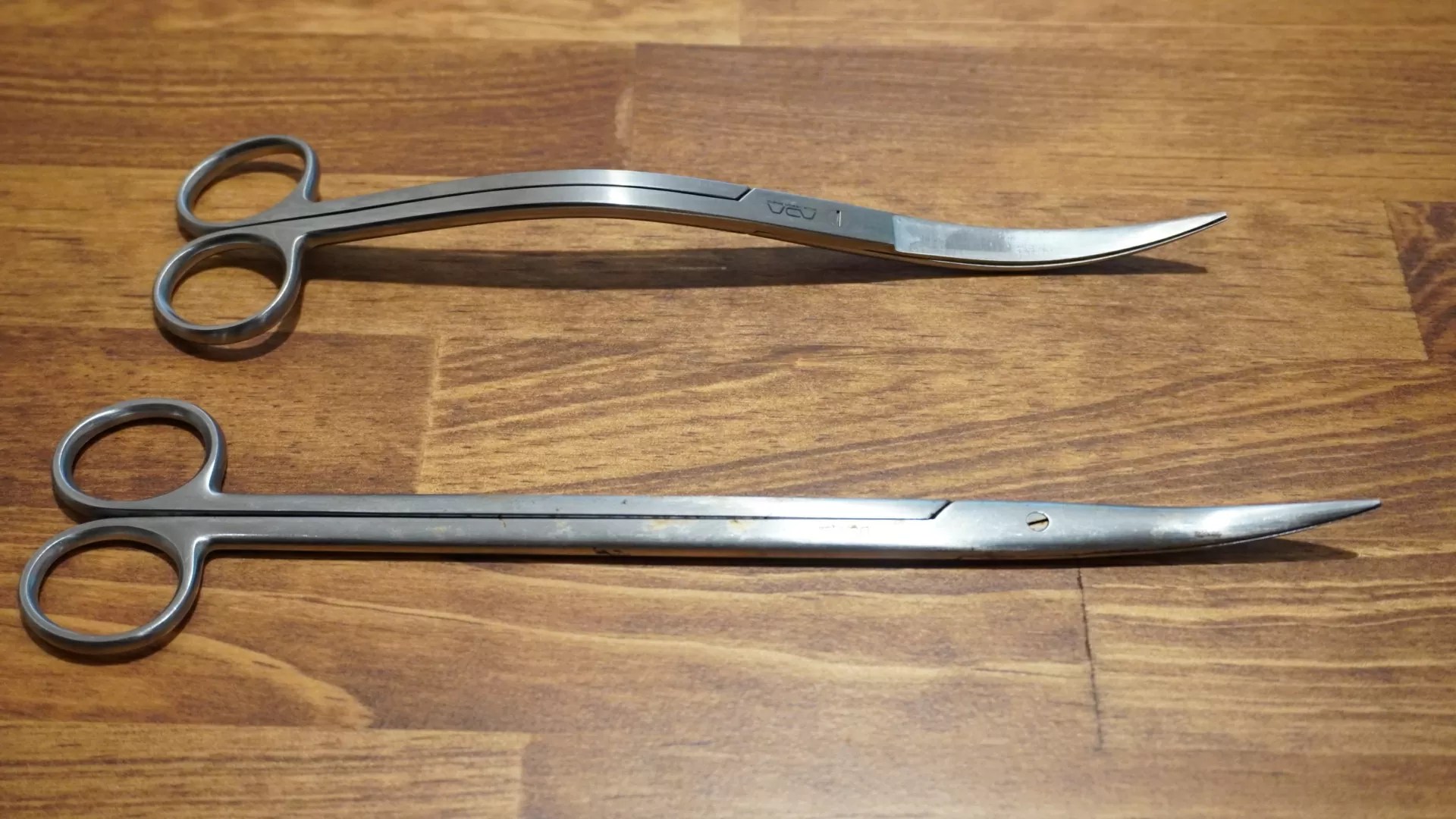 レビュー】ADA プロシザース ウェーブのススメ【アクアリウム