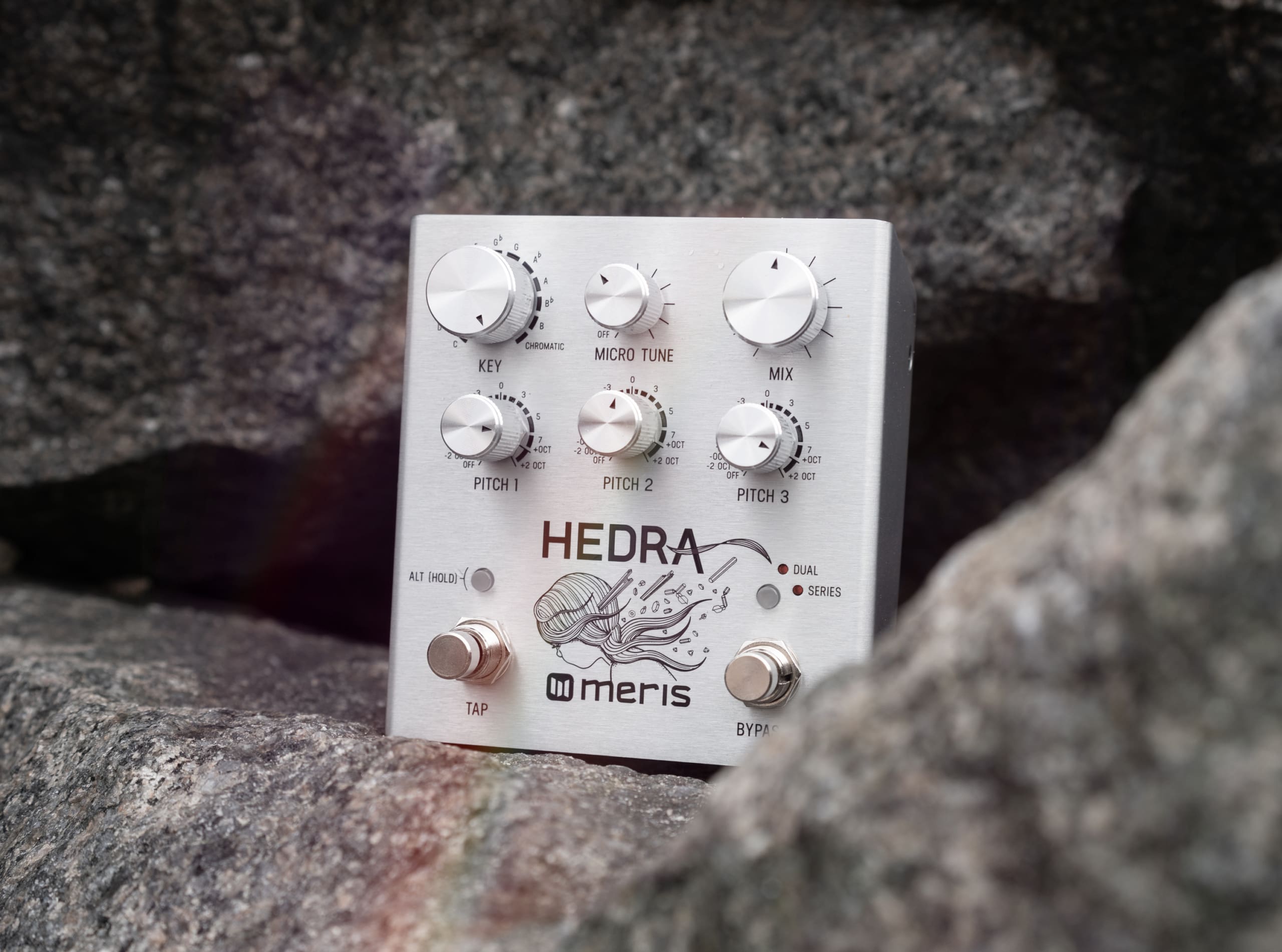 Hedra - Meris