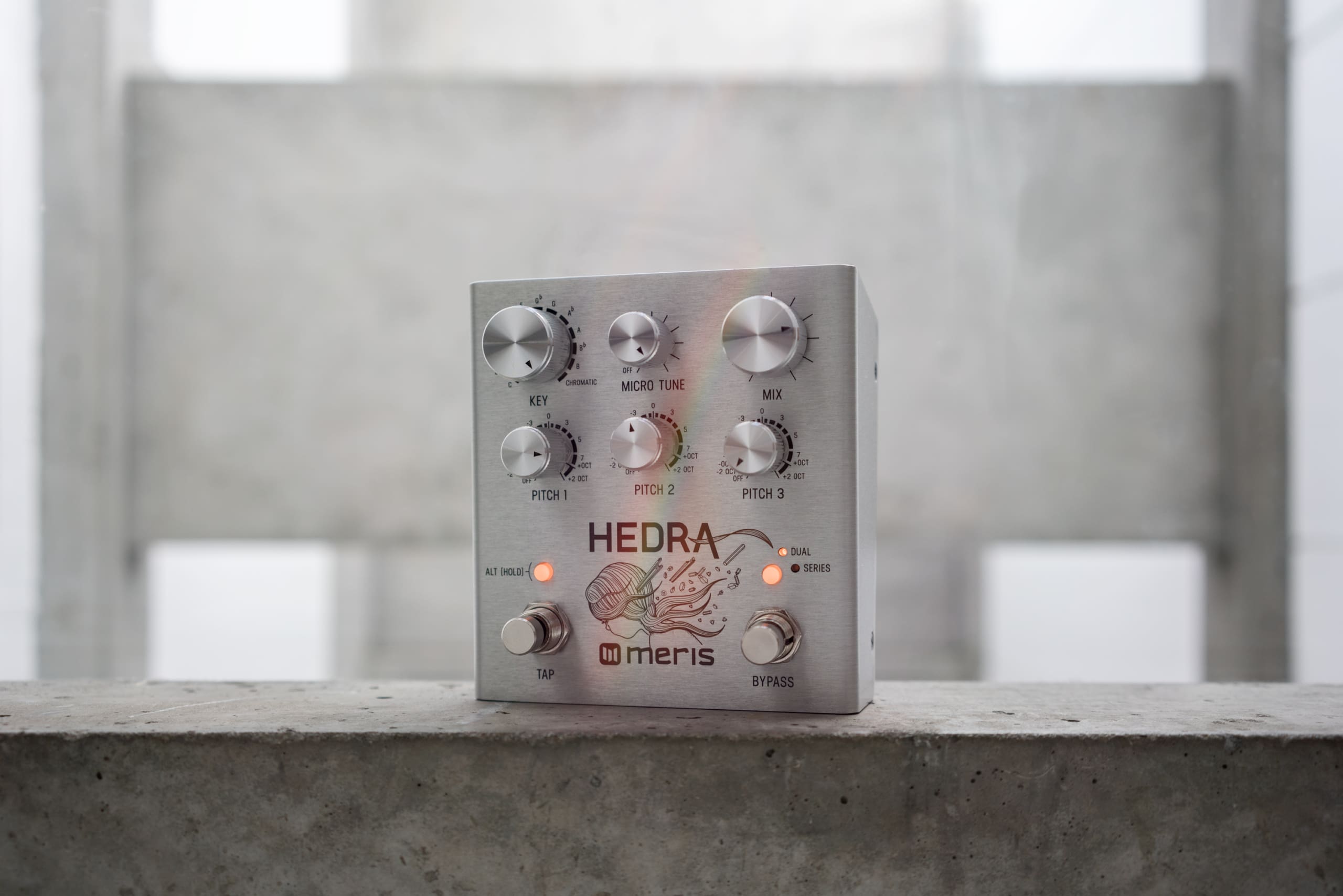 Hedra - Meris