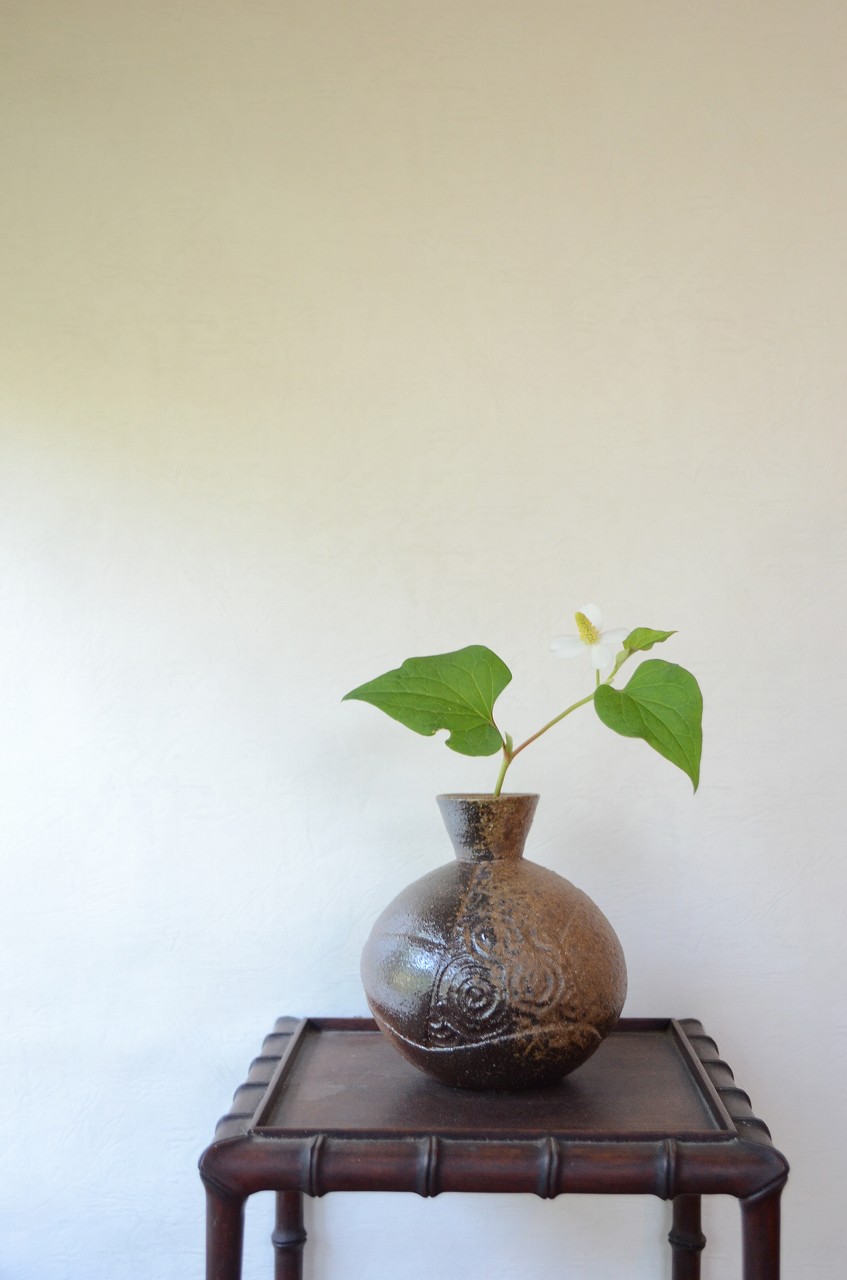 備前花入 Takuma Watanabe －蕺草－ | 備前焼わかくさブログ