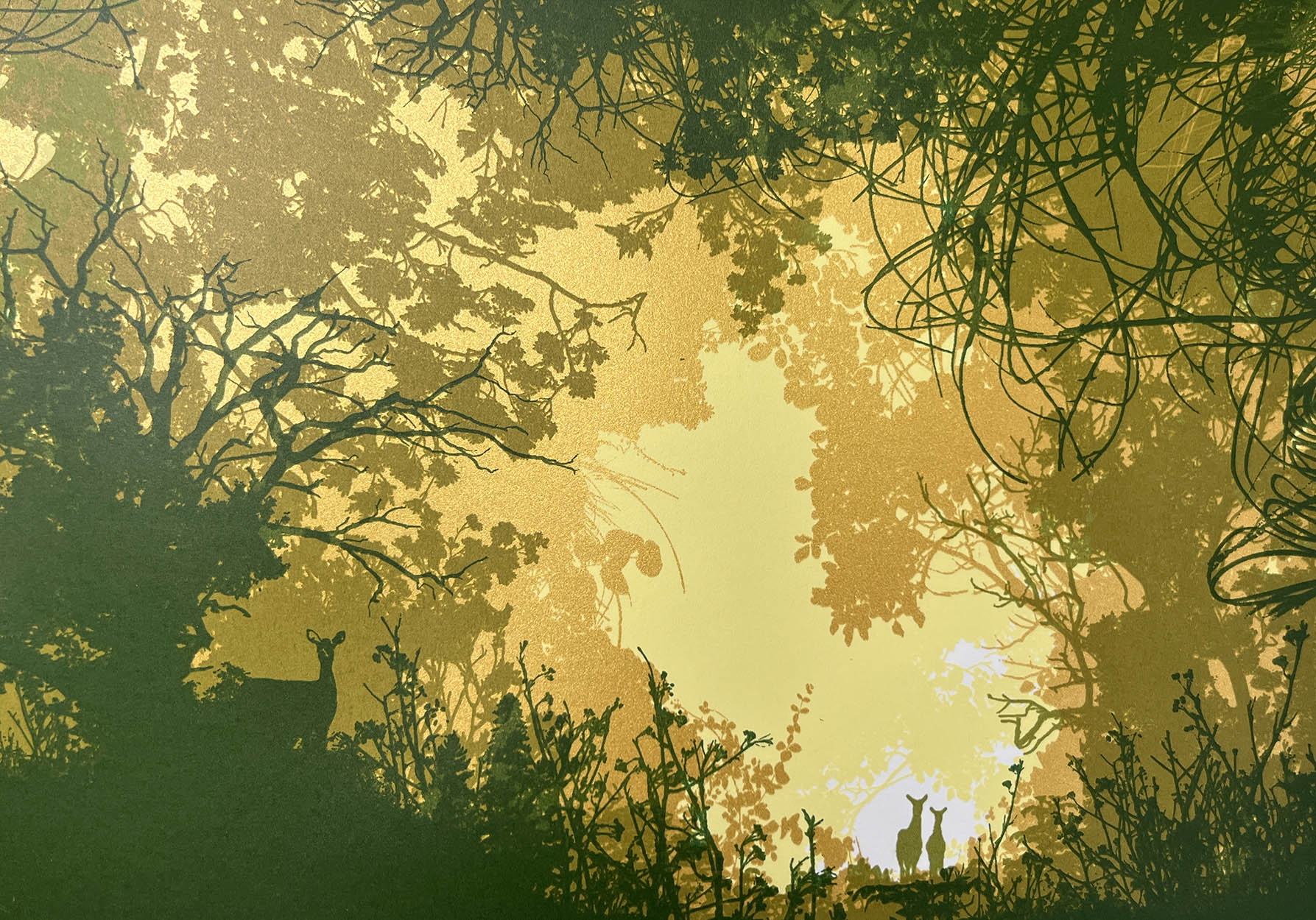 Gap in the forest – CHRIS KEEGAN