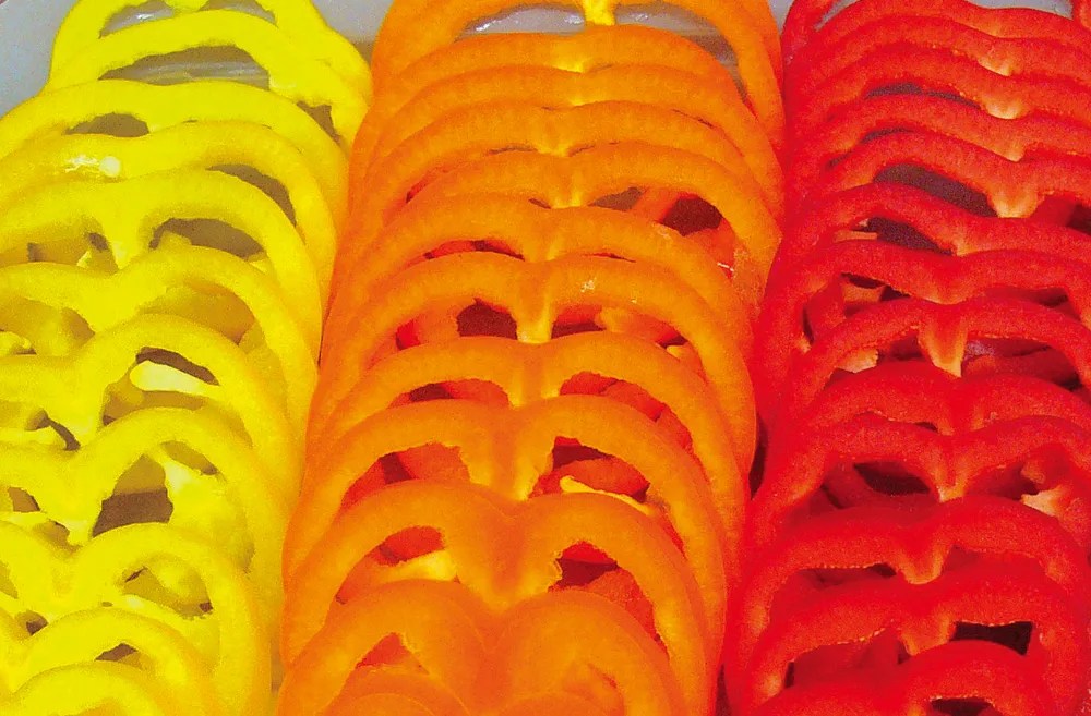 S19D｜製品一覧｜野菜加工機、フードスライサーのことなら 株式会社