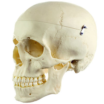 QS7.jpg?resize=150,150&ssl=1