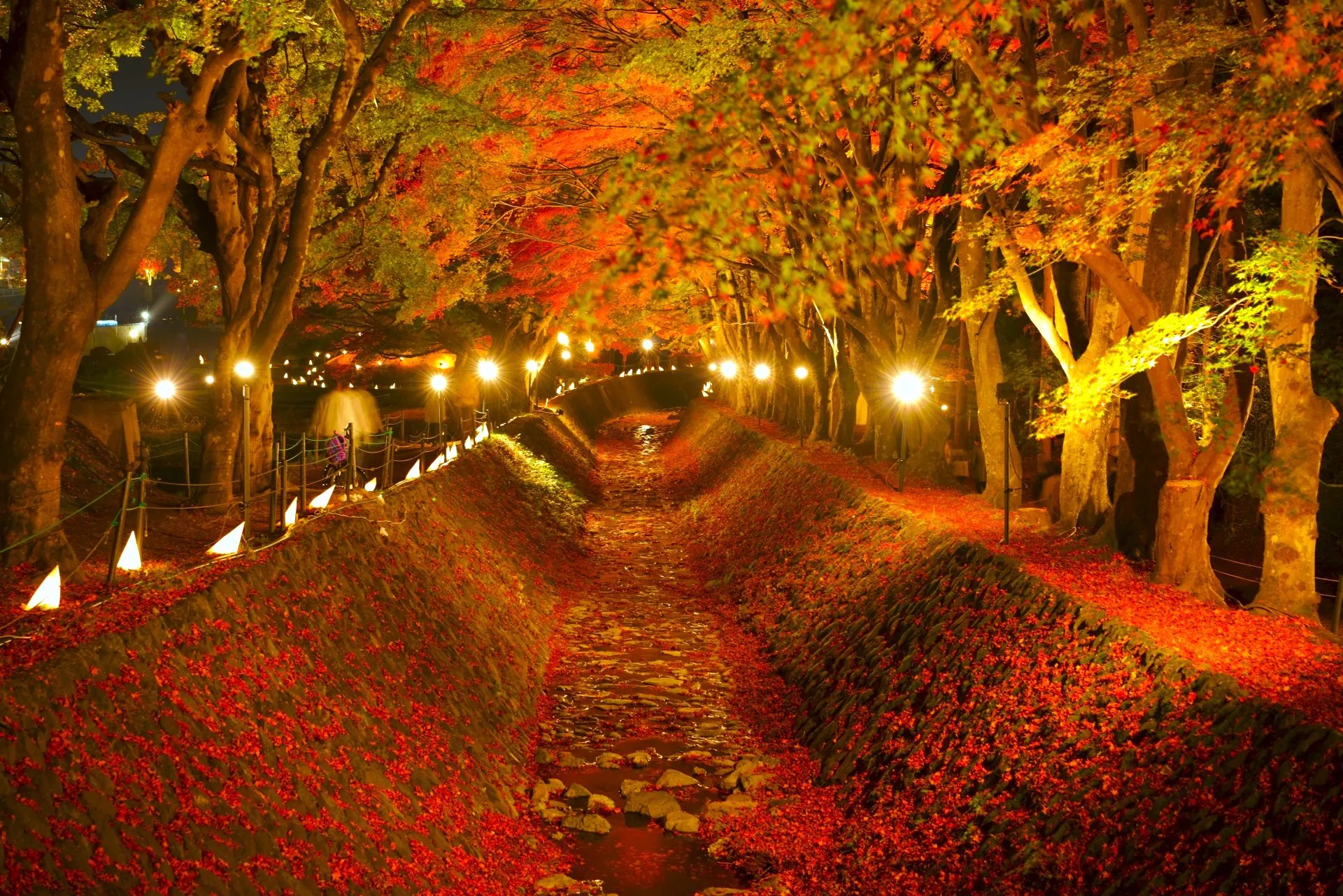 kawaguchi-autumnleaves01.jpg?