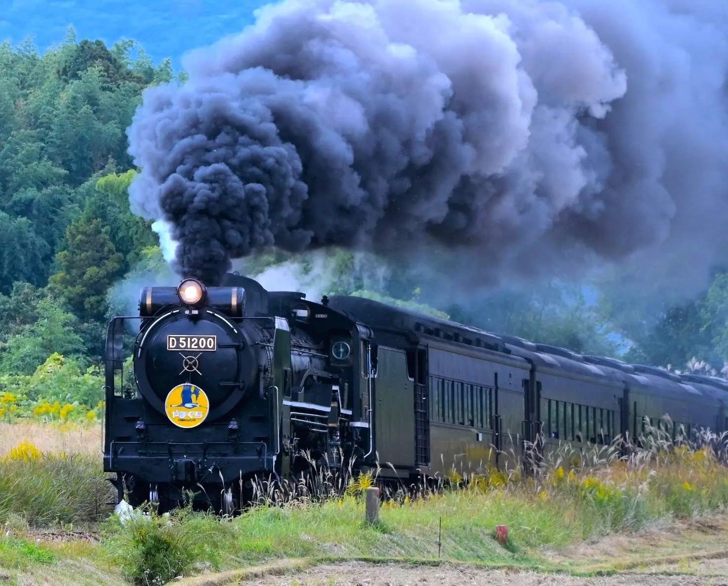 sl-yamaguchi202401.jpg?fit=