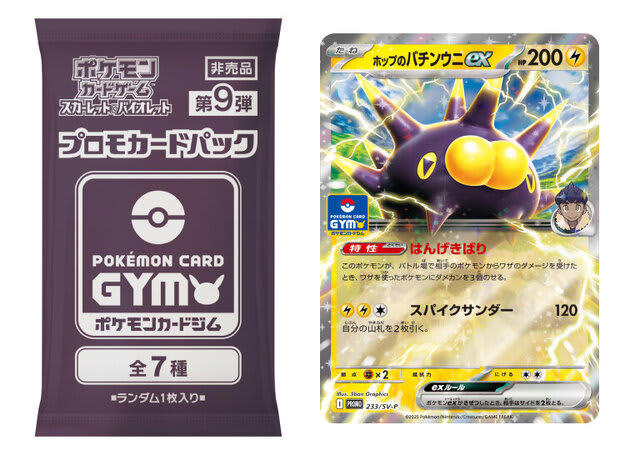 ポケカ】ジムバトルにでよう！バトルパートナーズシーズンのプロモ