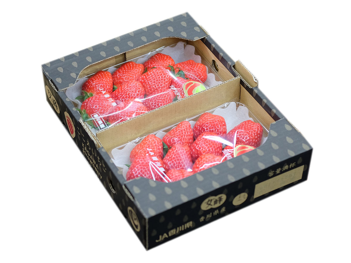 香川県産 いちご 女蜂 心 | 業務仕入・見積なら食品卸売の生鮮卸売市場