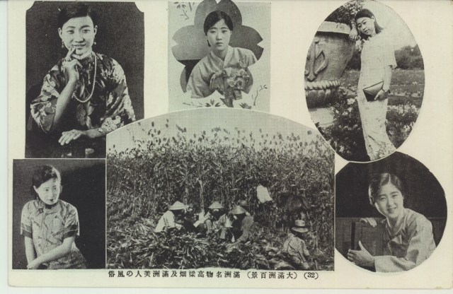 全満州名勝 MZ010 | その他 ( 満州 ) | 中国戦前絵葉書データベース