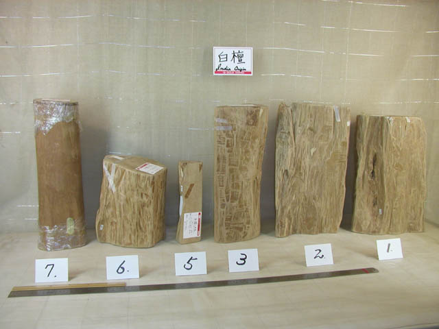 6299 白檀・原木 No.1,2,3,5,6,7 … 鑑定済[材種保証] ＼井上唐木～木の
