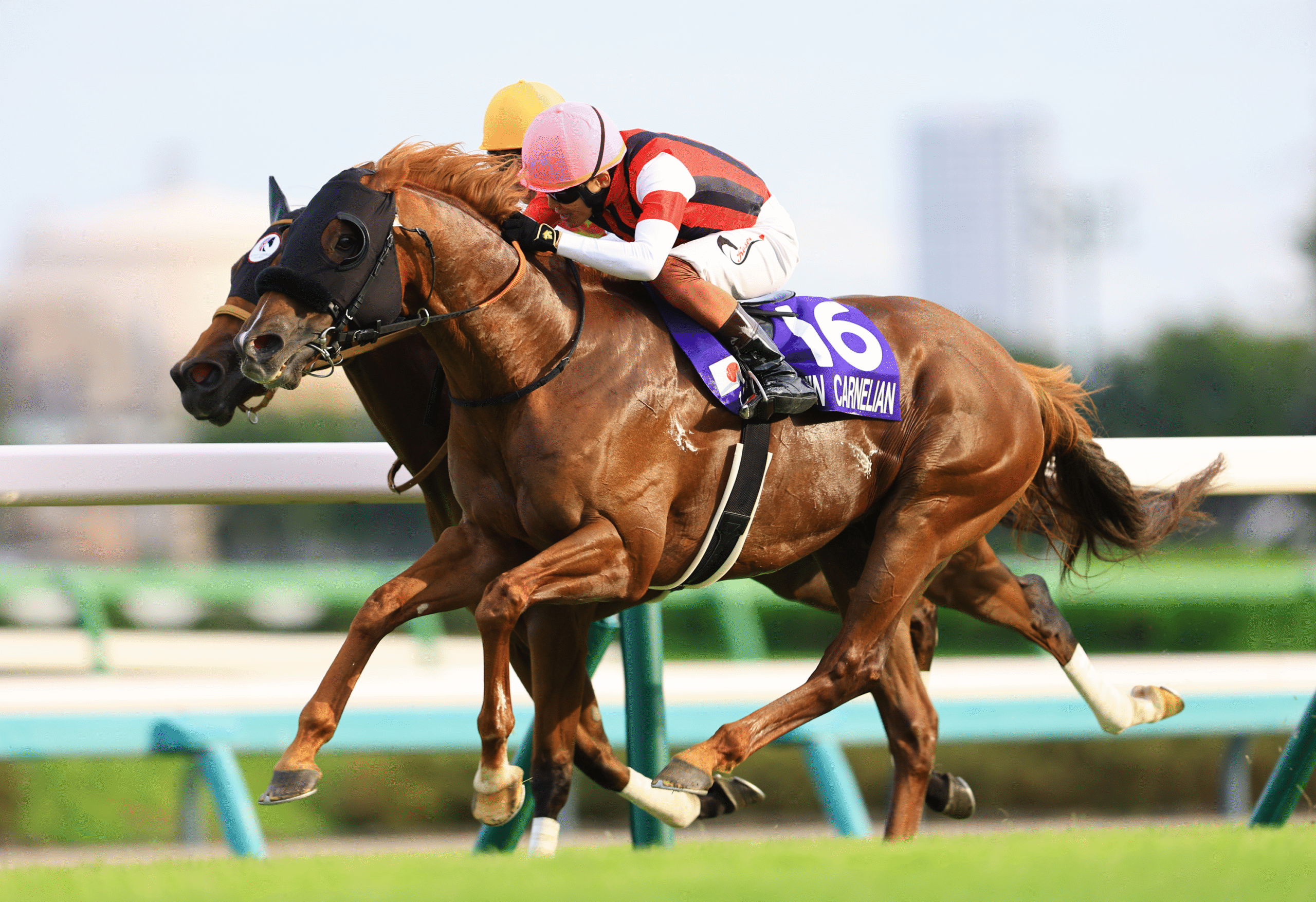 Win Carnelian's shock victory a first Group 1 victory for Kosei Miura