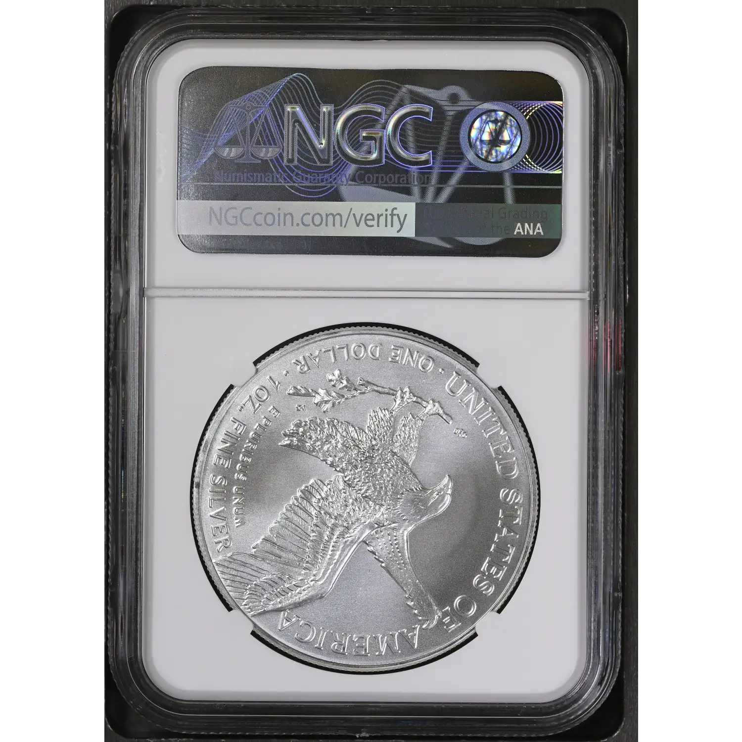 2023 American Silver Eagle NGC MS-70 Video Game Console - U.S