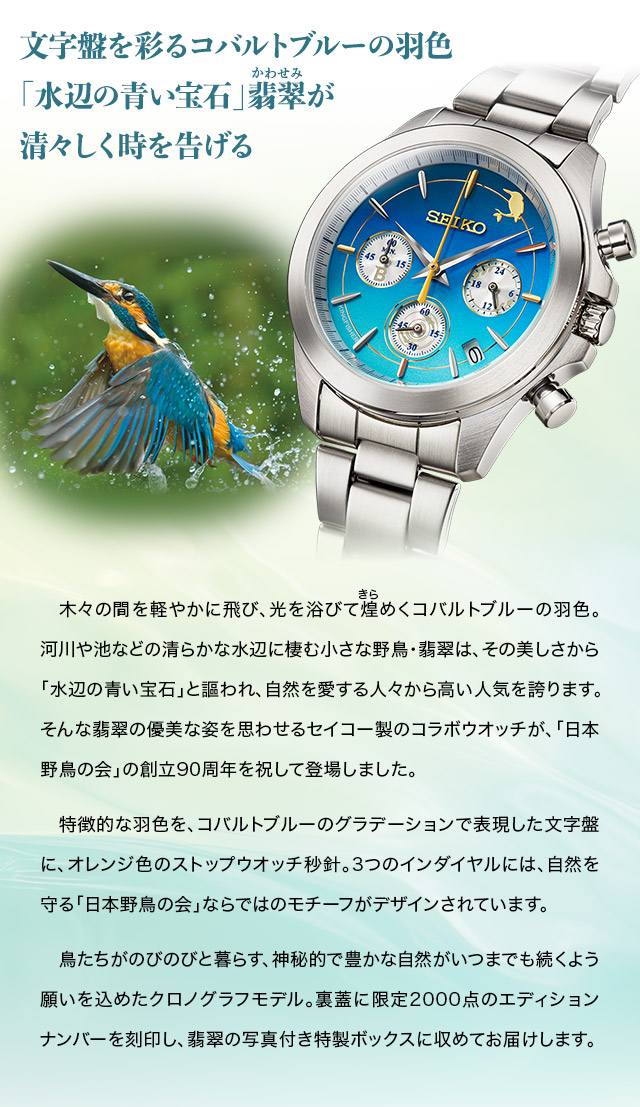 2364タイムリープ量子力学·奴奈川姫導きし光·糸魚川産翡翠巨石☆願望