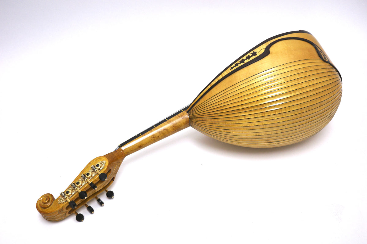 カラーチェマンドリン クラシコA オルランディモデル | イケガク