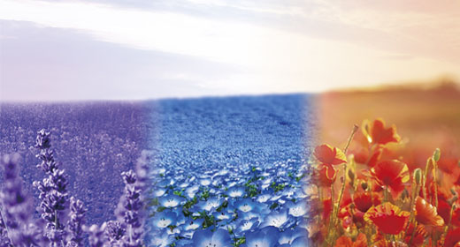 2026年イルミナカラー新色「ルミナスフラワーコレクション」きらめく光